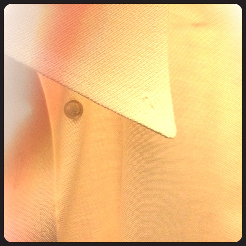 Stafford button down 17/ 17½